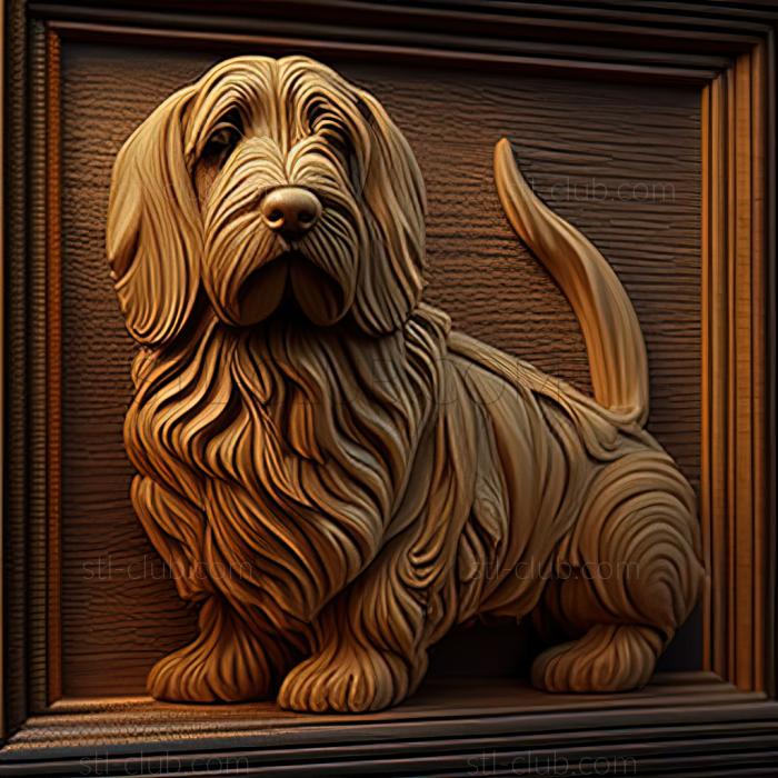 st Small Vendean Basset Griffon dog